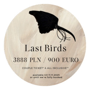 BLACK Last Birds Couple Ticket